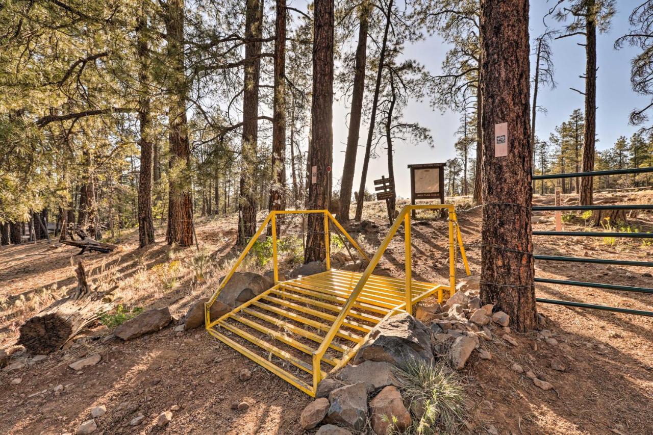 Munds Park Cabin With Poker Room And Wraparound Deck! Εξωτερικό φωτογραφία